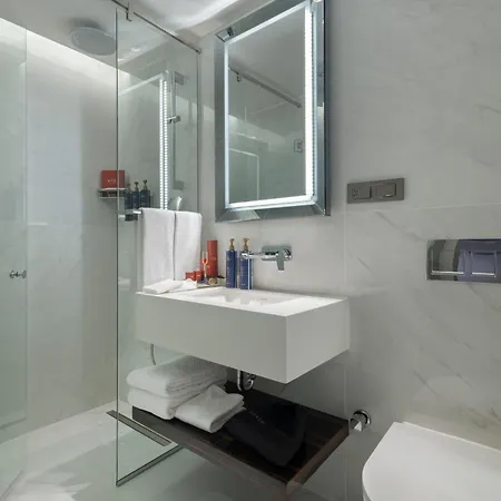 The Ritus Sultanahmet, Tapestry Collection By Hilton Hotel 4*