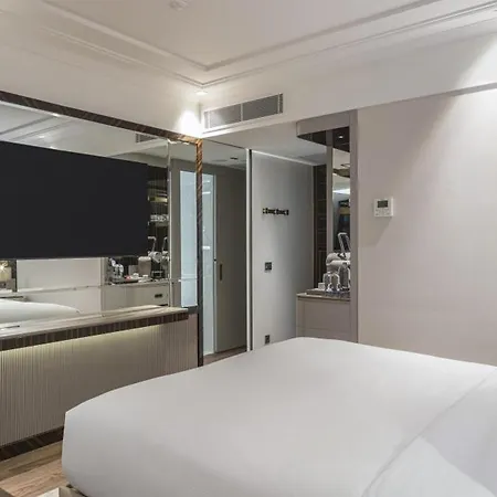 ホテル The Ritus Sultanahmet, Tapestry Collection By Hilton イスタンブール